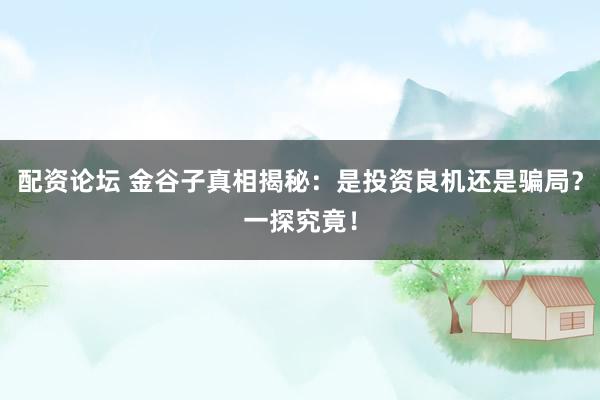 配資論壇 金谷子真相揭秘：是投資良機(jī)還是騙局？一探究竟！