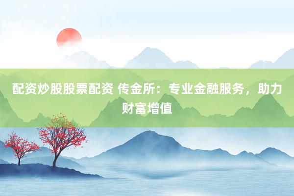 配資炒股股票配資 傳金所：專業(yè)金融服務，助力財富增值