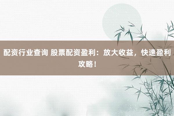 配資行業(yè)查詢 股票配資盈利：放大收益，快速盈利攻略！