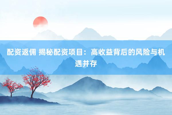 配資返傭 揭秘配資項(xiàng)目：高收益背后的風(fēng)險(xiǎn)與機(jī)遇并存